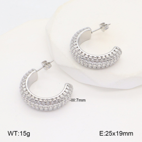 2E2006113vbnl-253  Stainless Steel Earrings