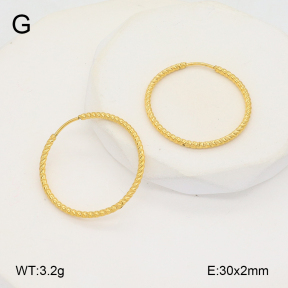 2E2006116vbmb-253  Stainless Steel Earrings
