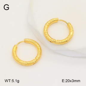 2E2006117vbnl-253  Stainless Steel Earrings