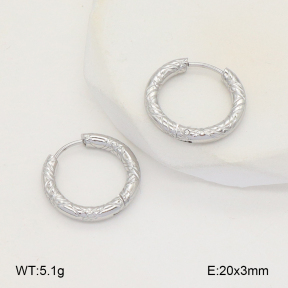 2E2006118vbmb-253  Stainless Steel Earrings