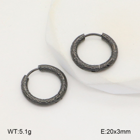 2E2006119vbnb-253  Stainless Steel Earrings