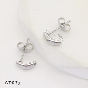 2E2006121aaji-253  Stainless Steel Earrings