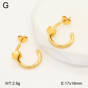 2E2006132vbll-434  Stainless Steel Earrings