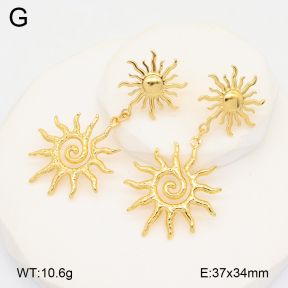 2E2006134bbml-434  Stainless Steel Earrings