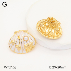 2E3003583vbll-434  Stainless Steel Earrings