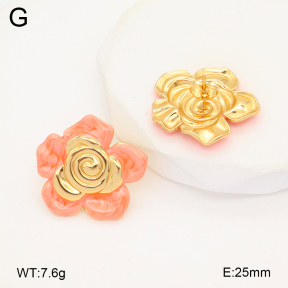 2E3003588aakl-434  Stainless Steel Earrings