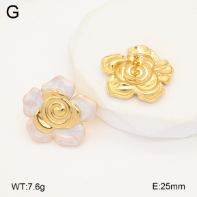 2E3003590aakl-434  Stainless Steel Earrings