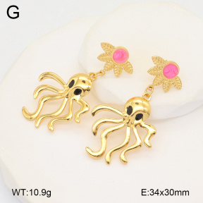2E3003597bbml-434  Stainless Steel Earrings