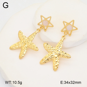 2E3003598vbmb-434  Stainless Steel Earrings
