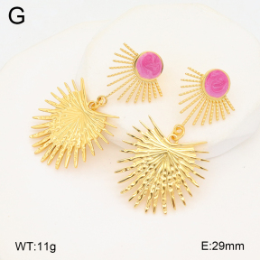 2E3003599bbml-434  Stainless Steel Earrings