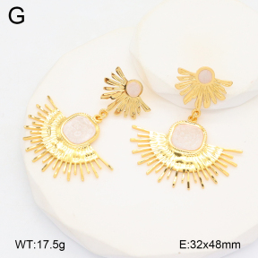 2E3003600bbml-434  Stainless Steel Earrings