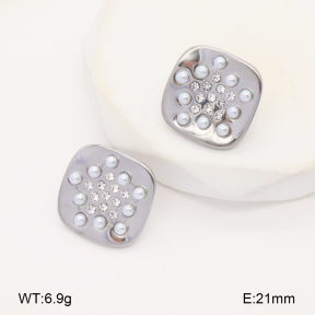 2E3003603vbpb-669  Stainless Steel Earrings