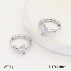 2E4004395vbpb-253  Stainless Steel Earrings