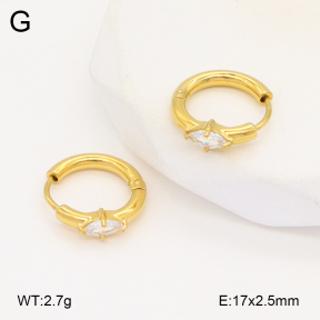 2E4004396bhva-253  Stainless Steel Earrings