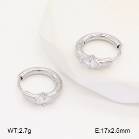 2E4004397vbpb-253  Stainless Steel Earrings
