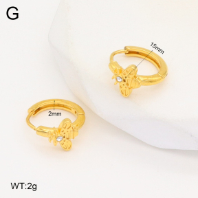 2E4004398vbpb-253  Stainless Steel Earrings