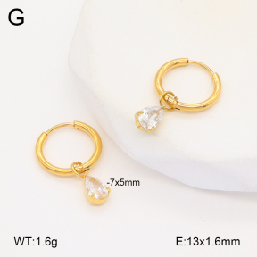 2E4004399vbnl-253  Stainless Steel Earrings