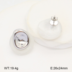 2E4004405bvpl-669  Stainless Steel Earrings