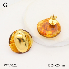 2E4004406bhva-669  Stainless Steel Earrings