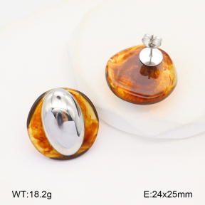 2E4004407bvpl-669  Stainless Steel Earrings