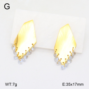 2E4004409bhva-669  Stainless Steel Earrings