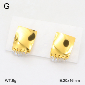 2E4004410bhva-669  Stainless Steel Earrings