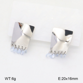 2E4004411bvpl-669  Stainless Steel Earrings