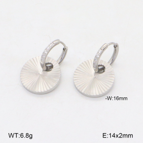 2E4004412bhbl-669  Stainless Steel Earrings
