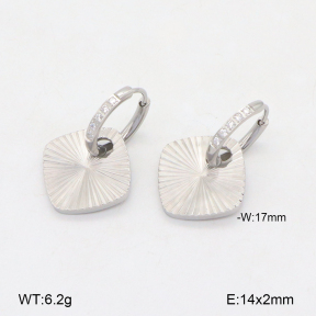 2E4004413bhbl-669  Stainless Steel Earrings