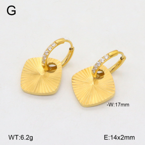 2E4004414vhha-669  Stainless Steel Earrings