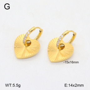 2E4004415vhha-669  Stainless Steel Earrings