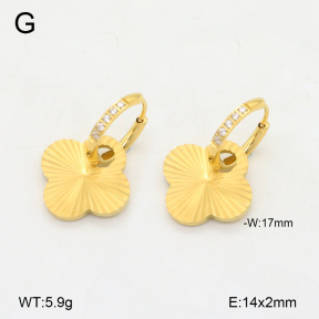 2E4004417vhha-669  Stainless Steel Earrings