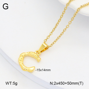 2N2006006aakl-452  Stainless Steel Necklace