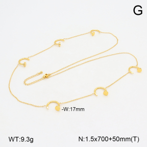 2N2006090bvpl-434  Stainless Steel Necklace