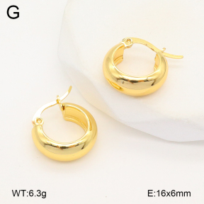 2E2006123aajo-319  Stainless Steel Earrings