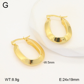 2E2006125aajo-319  Stainless Steel Earrings