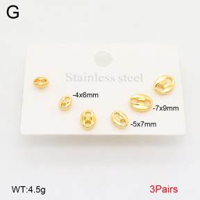 2E2006130vbmb-319  Stainless Steel Earrings