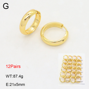 2E2006135amaa-254  Stainless Steel Earrings