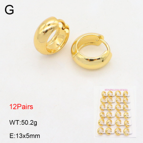 2E2006136amaa-254  Stainless Steel Earrings