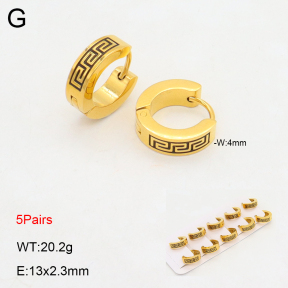 2E2006148aiil-233  Stainless Steel Earrings