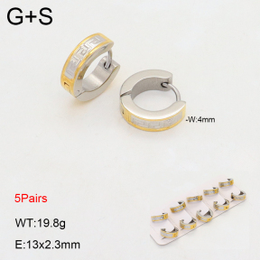 2E2006149aiil-233  Stainless Steel Earrings