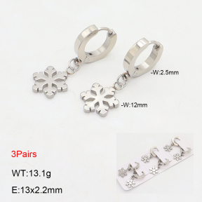 2E2006159bhia-233  Stainless Steel Earrings