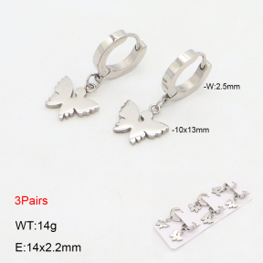 2E2006162bhia-233  Stainless Steel Earrings