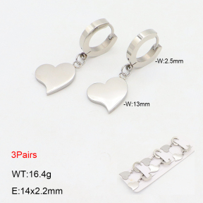 2E2006163bhia-233  Stainless Steel Earrings