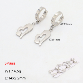 2E2006164bhia-233  Stainless Steel Earrings