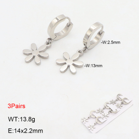 2E2006165bhia-233  Stainless Steel Earrings