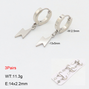 2E2006167bhia-233  Stainless Steel Earrings