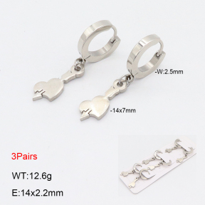2E2006169bhia-233  Stainless Steel Earrings