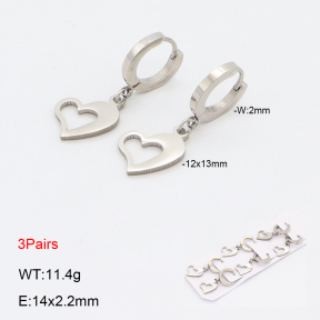 2E2006170bhia-233  Stainless Steel Earrings