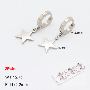 2E2006171bhia-233  Stainless Steel Earrings